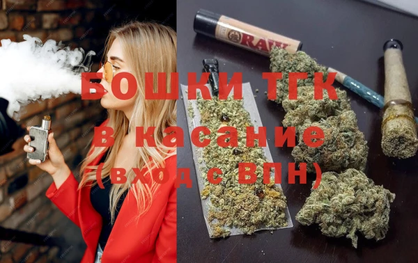 гашик Мегион