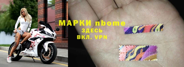 ECSTASY Алзамай
