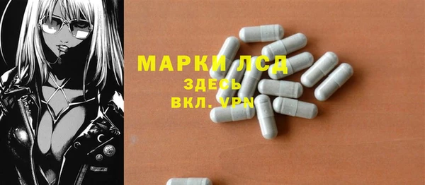 ECSTASY Алзамай