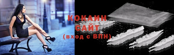 ECSTASY Алзамай