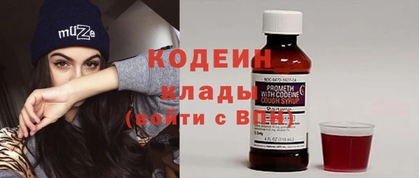 ECSTASY Алзамай