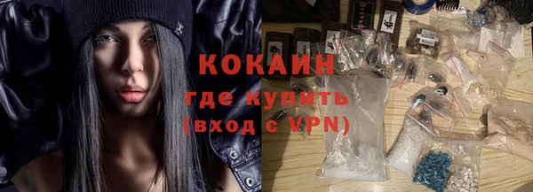 ECSTASY Алзамай