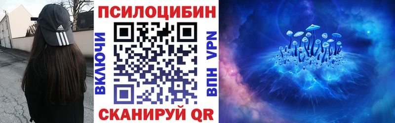 Галлюциногенные грибы Psilocybe цены наркотик OMG маркетплейс Волгоград