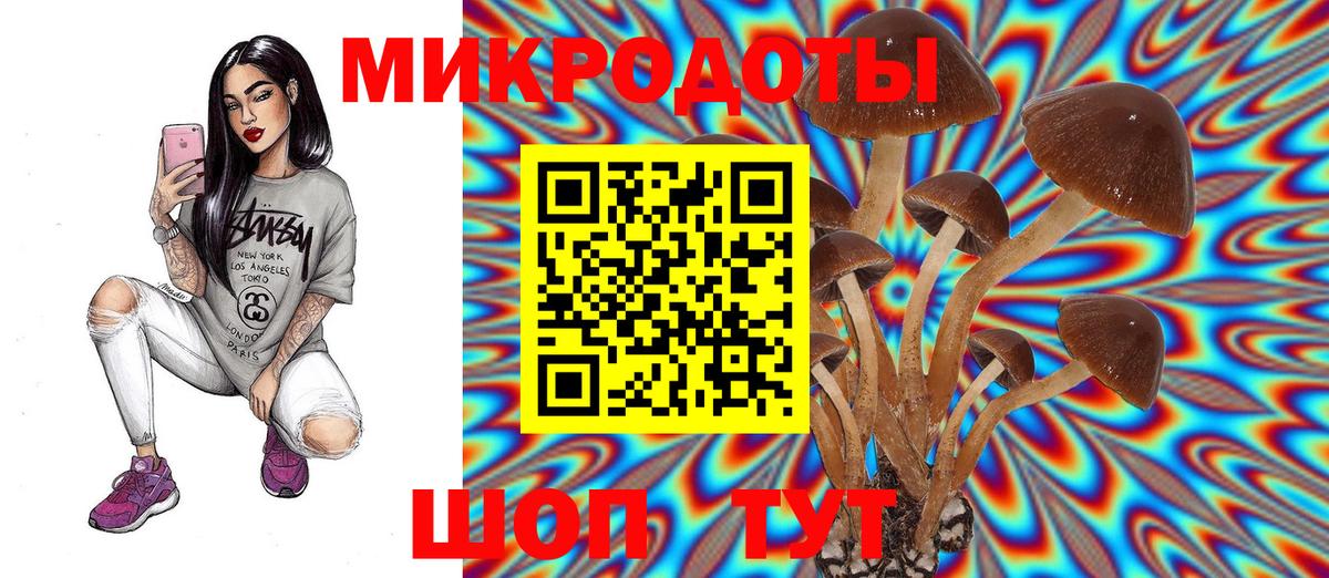 Волгоград  Псилоцибиновые грибы ЛСД  Вход с VPN 