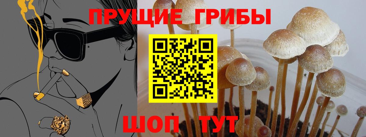 Галлюциногенные грибы GOLDEN TEACHER Волгоград